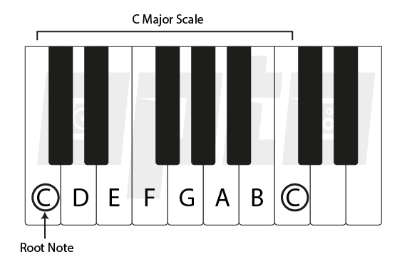 The Major Scale Explained